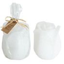 RUUSUKYNTTILÄ NUPPU, VALKOINEN 10 cm