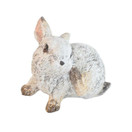 PUPU KORISTE, VAALEANRUSKEA - 4 erilaista