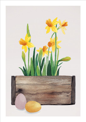 POSTIKORTTI A6, Keltaiset narsissit