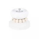 MINIPRINSSI KYNTTILÄNJALKA, VALKOINEN 5 cm