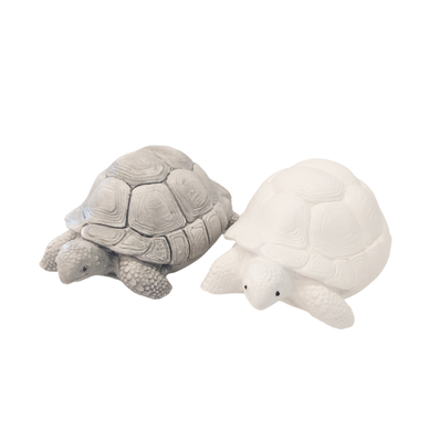 KORISTE KILPIKONNA 4 cm (eri värejä)