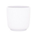 KUKKARUUKKU, VALKOINEN 12,5cm