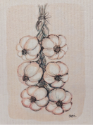 KEITTIÖLIINA VALKOSIPULILETTI