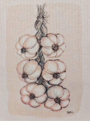 KEITTIÖLIINA VALKOSIPULILETTI