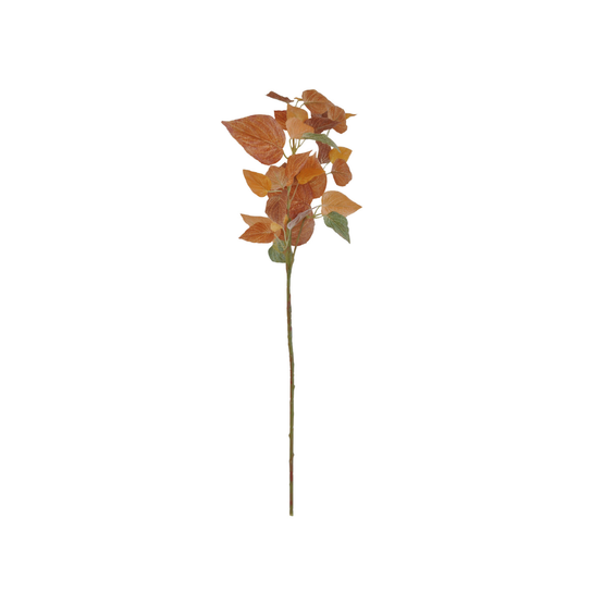SYYSOKSA PEIPPI, 75 cm