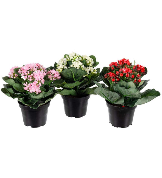 TULILATVA RUUKUSSA, PINKKI 20 cm