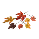 SYKSYNLEHDET PUSSISSA 12 KPL, 17 cm