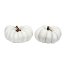 KORISTEKURPITSA VALKOINEN, 2 erilaista