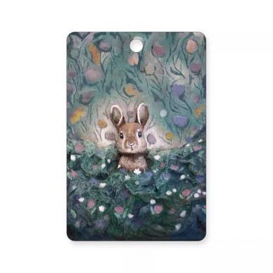 LEIKKUULAUTA, PUMPULI-PUPU 30x20.cm