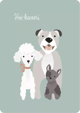 POSTIKORTTI A6, Koirakaverit