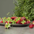 KORISTEMANSIKKA 10 KPL, MUOVIA 4 cm