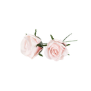 RUUSUKORISTE VAALEANPUNAINEN, VEDENKESTÄVÄ Ø 5 cm