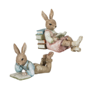 OPISKELEVAT KANIT, 2 erilaista mallia