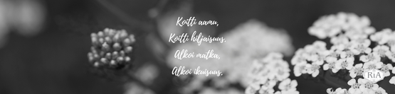 MIETELAUSEKYNTTILÄ, VALKOINEN 10,2 cm