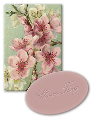 VIERASSAIPPUAPALA RUUSU 25 g