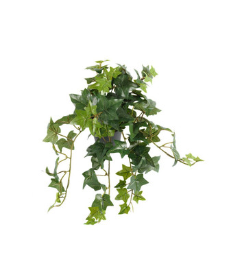 MURATTI RUUKUSSA 30 cm