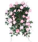 PETUNIA RUUKUSSA, VAALEANPUNAINEN 60 cm