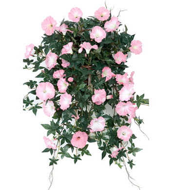 PETUNIA RUUKUSSA, VAALEANPUNAINEN 60 cm