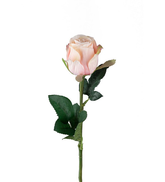 RUUSU, VAALEANPUNAINEN 50 cm