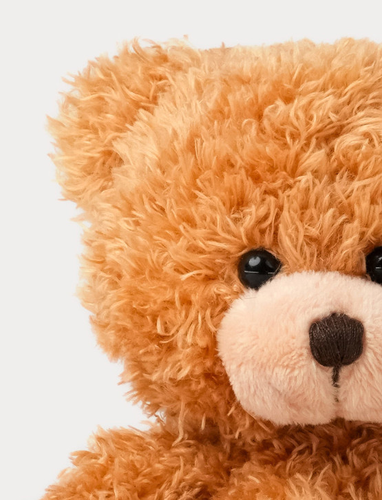 TEDDY BROWN 20 cm