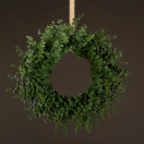 EUKALYPTUS-KRANSSI, 50 cm