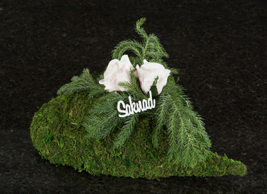 RUUSUKORISTE KERMANVALKOINEN, VEDENKESTÄVÄ Ø 5 cm