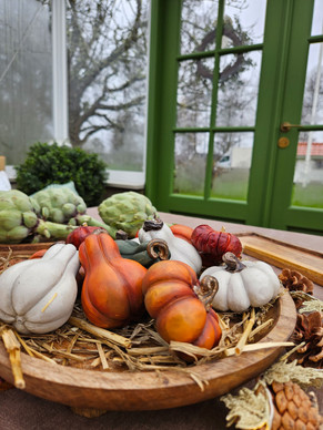 KORISTEKURPITSA MINI, ORANSSIN-RUSKEA LAJITELMA