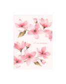 POSTIKORTTI A6, Kirsikankukat (vaalea)