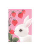 POSTIKORTTI A6, Mansikoita mahan täydeltä