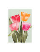 POSTIKORTTI A6, Tulppaanit (värikkäät)