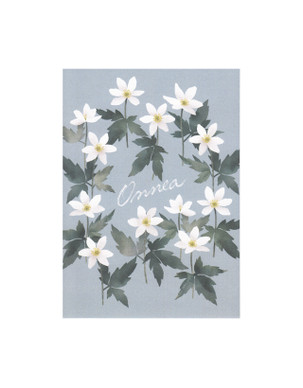 POSTIKORTTI A6, Valkovuokot