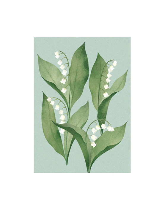 POSTIKORTTI A6, Kieloniitty