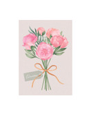 POSTIKORTTI A6, Pionikimppu