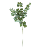 EUKALYPTUS VIHREÄ 92 cm
