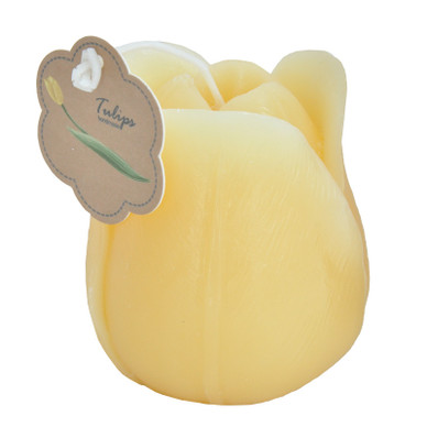 TULPPAANIKYNTTILÄ, KELTAINEN 7x7x8 cm