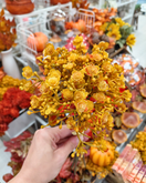 HARSOKUKKAKIMPPU, OKRANKELTAINEN 29 cm