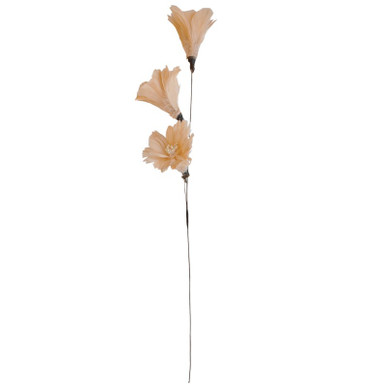 HÖYHENKUKKA, VAALEANPUNA-RUSKEA 75 cm