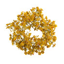 KUKKAKRANSSI, OKRANKELTAINEN Ø 22 cm