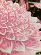 KERAAMINEN KUKKA-ALUSTA, VAALEANPUNA-VALKOINEN 16,5 cm