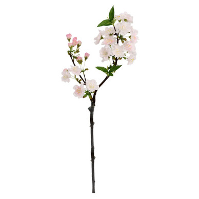 KIRSIKANKUKAN OKSA, VAALEANPUNAINEN 48 cm