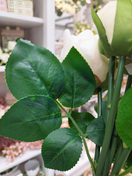 KUKKAKIMPPU VALKOINEN, 29 cm