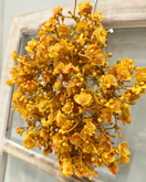 KUKKAKRANSSI, OKRANKELTAINEN Ø 22 cm