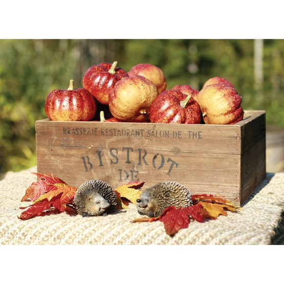 KORISTEKURPITSA, ORANSSI 10 cm