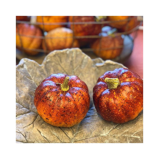 KORISTEKURPITSA, ORANSSI 10 cm