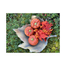 KORISTEKURPITSA, ORANSSI 10 cm