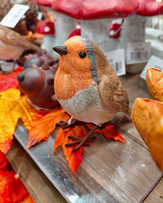 LINTUKORISTE, ORANSSI-RUSKEA 9,5x6x8 cm