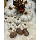 KÄPY KORISTE, RUSKEA