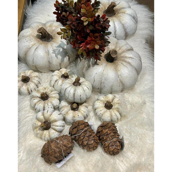 KÄPY KORISTE, RUSKEA