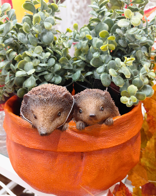 SIILIT RUUKKU, TERRACOTTA 20x13 cm