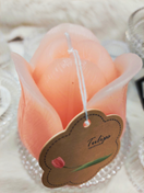 TULPPAANIKYNTTILÄ, VAALEANPUNAINEN 7x7x8 cm